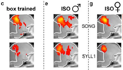 fig1a.PNG