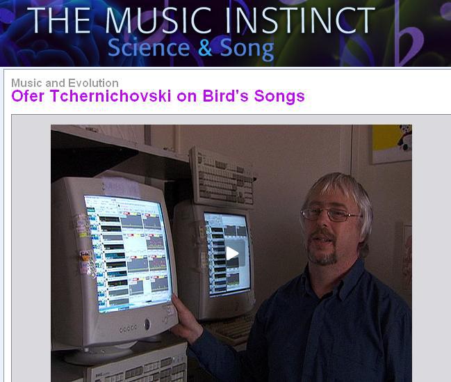 music_instict.JPG